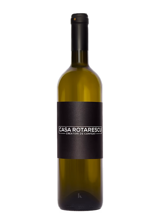 Casa Rotarescu Casa Rotarescu Alb