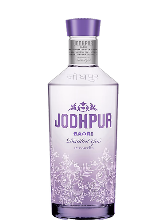 Jodhpur Jodhpur Baori