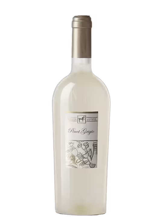 Tenuta Ulisse TENUTA ULISSE Pinot Grigio