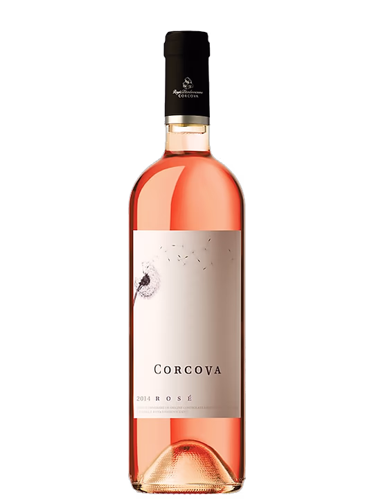 Corcova Corcova Rose
