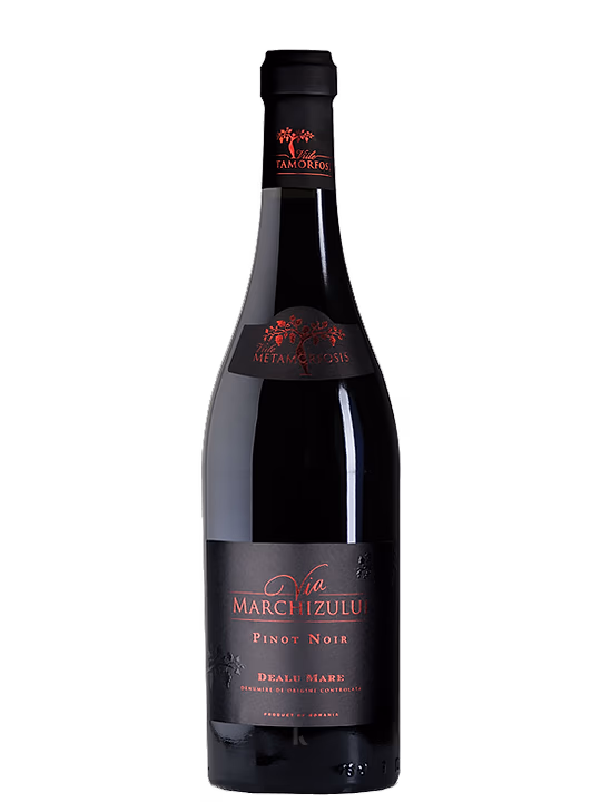 Vitis Metamorfosis Vitis Metamorfosis Via Marchizului Pinot Noir