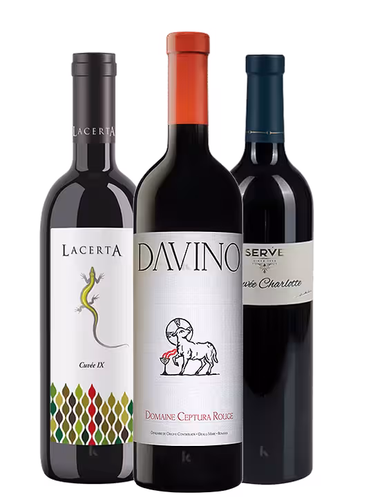 PACHET BEST RED'S IX