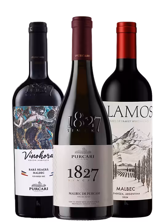 PACHET MALBEC III